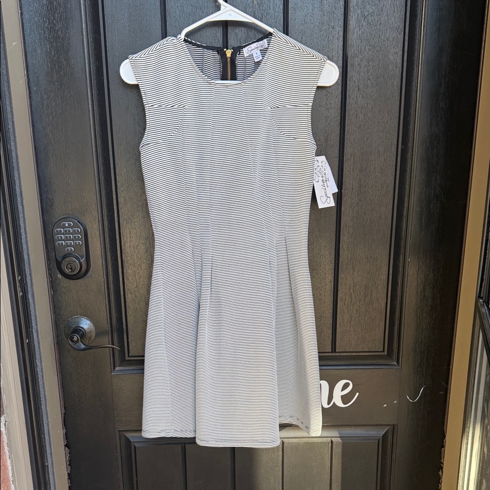 Speechless Black and White Striped Mini Dress